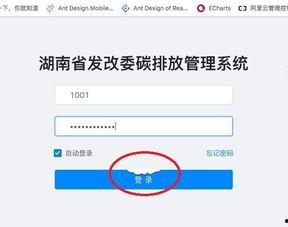 qq瓜今日行情,涨跌波动，市场动态一览”