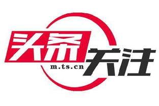 马瓜山今日头条新闻,揭秘神秘古墓发现，千年宝藏引考古热潮