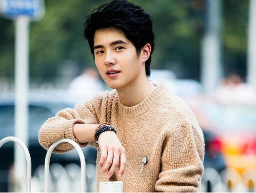 聊城明星网红有哪些名字,揭秘明星网红的璀璨名字