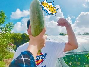 今日吃瓜网红反差,揭秘网红背后的反差人生